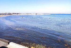 Marseille - Pointe Rouge - 24.03.2021 - 07